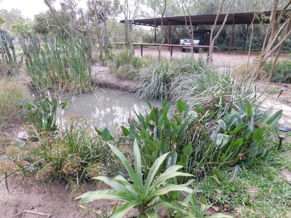 Arandu Ecolodge Colonia Carlos Pellegrini  Kültér fotó